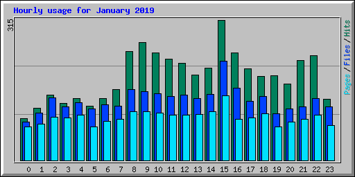 Hourly usage for January 2019