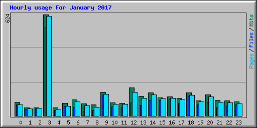 Hourly usage for January 2017