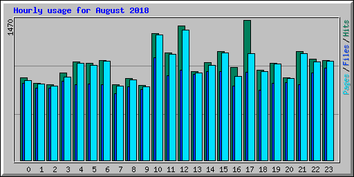 Hourly usage for August 2018