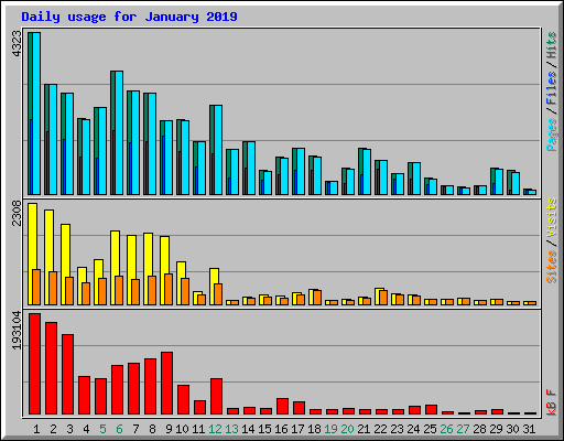 Daily usage for January 2019
