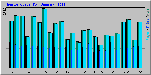 Hourly usage for January 2019